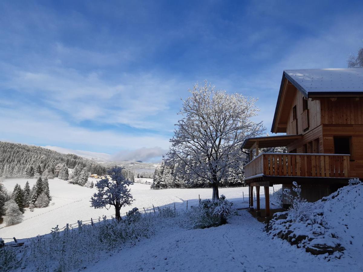 Ferienwohnung Auszeit Almhaus Schmalzbauer Sankt Andrä Exterior foto