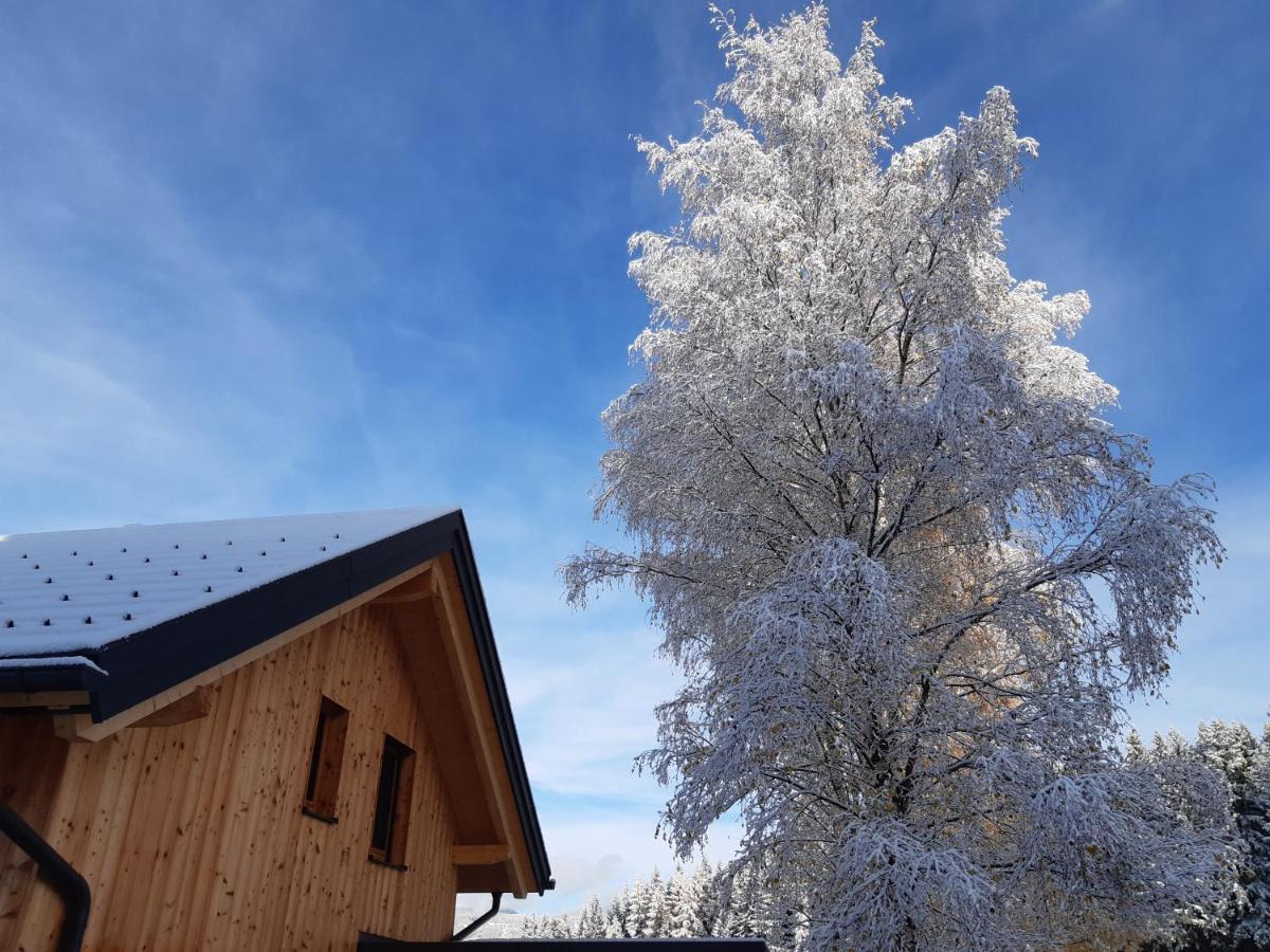 Ferienwohnung Auszeit Almhaus Schmalzbauer Sankt Andrä Exterior foto